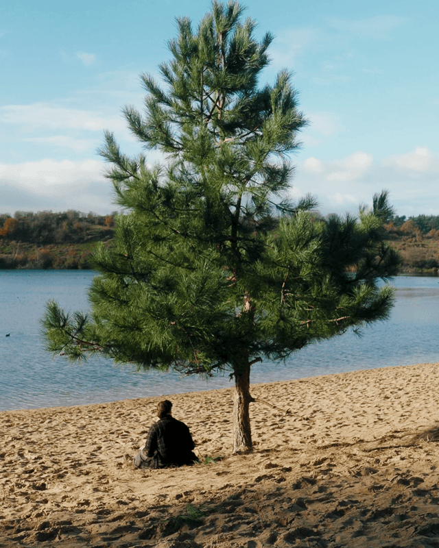 A place to stay
