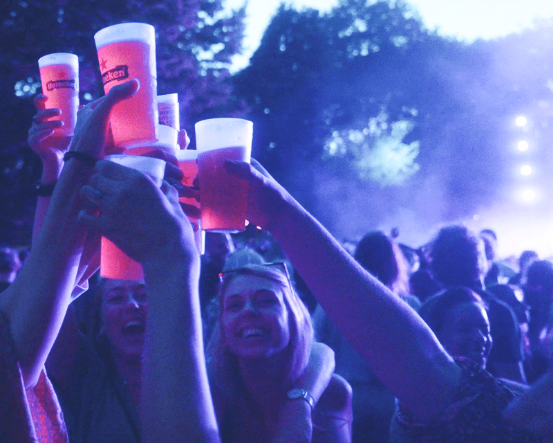 De Perfecte Festival