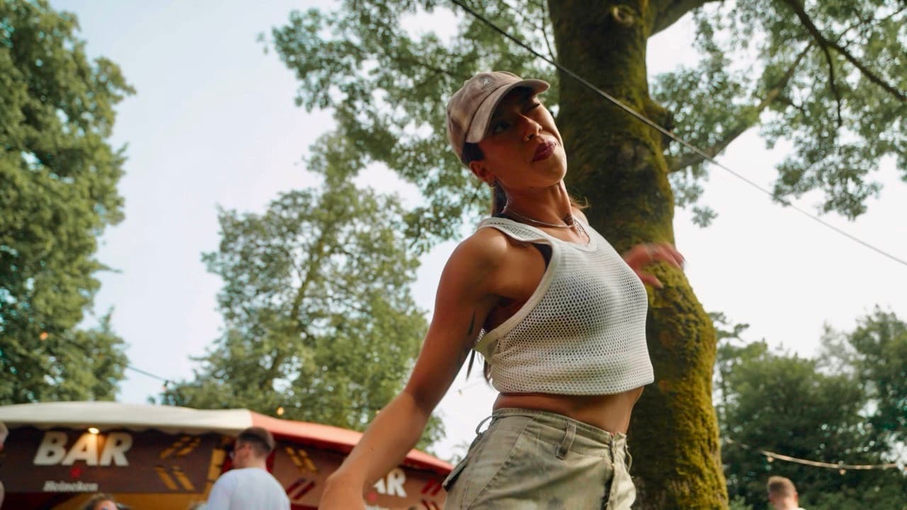 De Leuke Festival