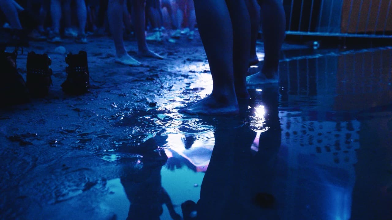 De Perfecte Festival